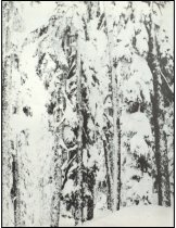 951.2022.1. Issaquah High School Yearbook, 1974-62