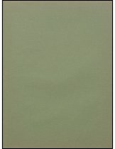 888.008. 1955 Mount Si High School Tenas Coma Yearbook-3