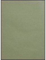 888.008. 1955 Mount Si High School Tenas Coma Yearbook-4