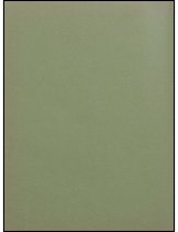 888.008. 1955 Mount Si High School Tenas Coma Yearbook-77