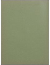 888.008. 1955 Mount Si High School Tenas Coma Yearbook-78