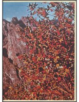 888.015. 1964 Mount Si High School Tenas Coma Yearbook-103