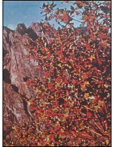 888.015. 1964 Mount Si High School Tenas Coma Yearbook-3