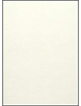 985.009. 1996  Two Rivers Yearbook-47