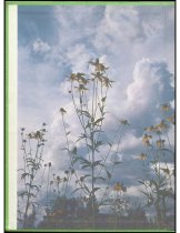 951.2021. 1973 Mount Si High School Tenas Coma Yearbook-2