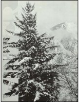 951.2021. 1973 Mount Si High School Tenas Coma Yearbook-30