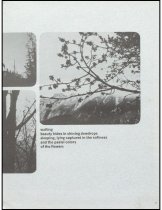 951.2021. 1973 Mount Si High School Tenas Coma Yearbook-7