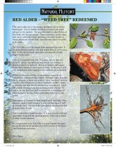 Snoqualmie Valley History Magazine, 2017