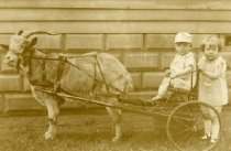 Goat Cart with Children