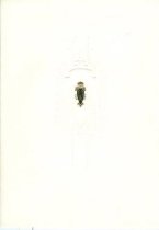 Warren County Commencement Invitation