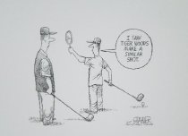 I saw Tiger Woods make a similar shot.