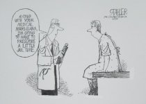 Along with your medical marijuana, I'm going to prescribe a little jail time.