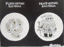 [Flesh-eating bacteria, Peace-eating bacteria]