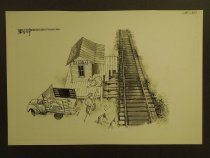 Democratic platform committee