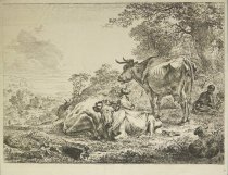 [cows on a rural hill etching]