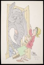 [elephant in the closet]