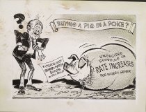 Buying a pig in a poke?