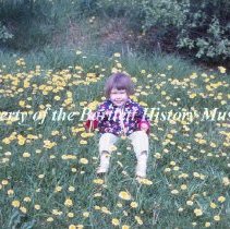 Transparency, Slide (Digital)