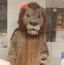 Garment, Combination