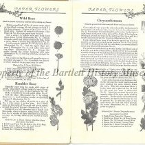 How to Make Crepe Paper Flowers