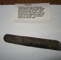 Tree nail from the Snow Squall