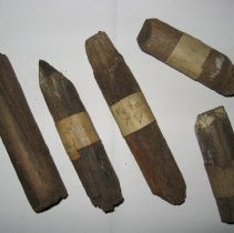 Treenails from the Snow Squall