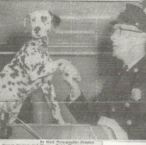 SPFD fire dog "Spanner"