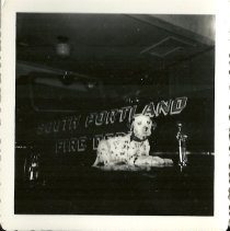 fire station dog "Spanner"