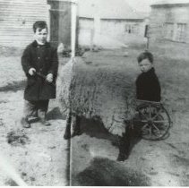Lawrence and Edwin Roberts - Dawson Farm