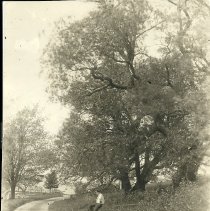 Deake Street and Henry Soule