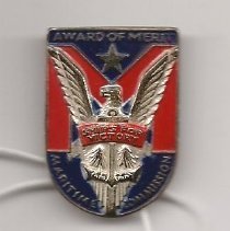Maritime Commission - merit pin