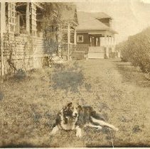 Brawn houses at Cushing's Point