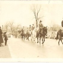 T-Ledge horses in Amistice Day parade