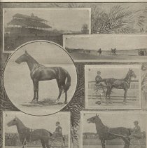 New England Fair news clipping