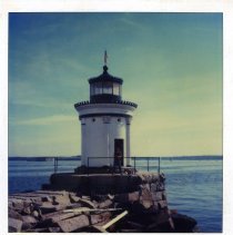 Bug Light