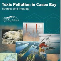Toxic Pollution in Casco Bay, 2007