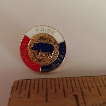 Pin worn by police officer