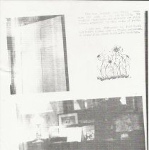 The Dyer Homestead,  page 2