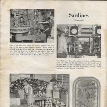 Bird Neponset Review, August 1956, page 4