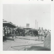 Circus in Mill Creek, June 1961