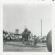 Circus in Mill Creek, June 1961