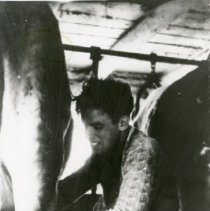 Ernst Cramer Milking A Cow_2