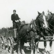 Horse Pulling Wagon_5