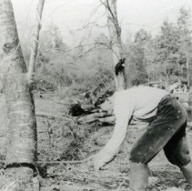 Chopping Wood