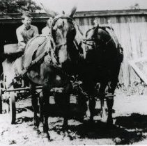 Horse Pulling Wagon_3