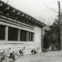 Chicken Coop_2
