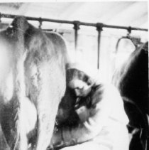 Eva Loew Milking A Cow