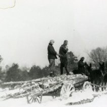 Horse Pulling Wagon_6