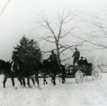Horse Pulling Wagon _7
