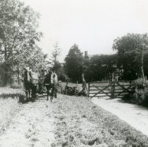 Horse Pulling Wagon_4